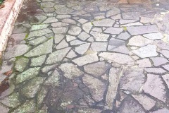 2022.03.18_impressionen_21